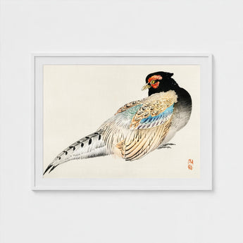 Peregrine Falcon - Kono Bairei Meiji Era Bird Art Print / Canvas Kōno Bairei’s, Gakan, Meiji-era Japan Prints