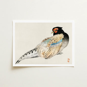 Peregrine Falcon - Kono Bairei Meiji Era Bird Art Print / Canvas Kōno Bairei’s, Gakan, Meiji-era Japan Prints