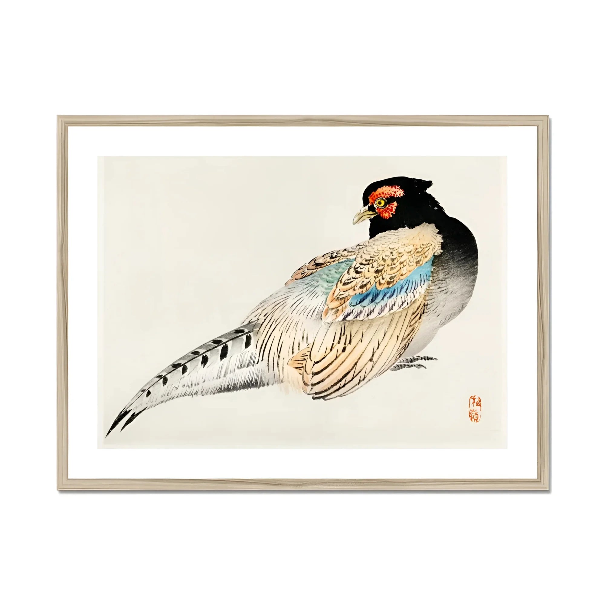 Peregrine Falcon - Kōno Bairei Meiji Era Bird Art Print, Colorful Pheasant Black Head White Feathers Blue Markings