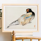 Peregrine Falcon - Kōno Bairei Meiji Era Bird Art Print Posters Prints & Visual Artwork