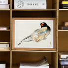 Peregrine Falcon Kōno Bairei Meiji Era Bird Art Print, Framed Watercolor Painting Pheasant Delicate Feather