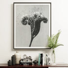 Phacelia Tanacetifolia (lacy Phacelia) - Karl Blossfeldt Art Print Posters Prints & Visual Artwork