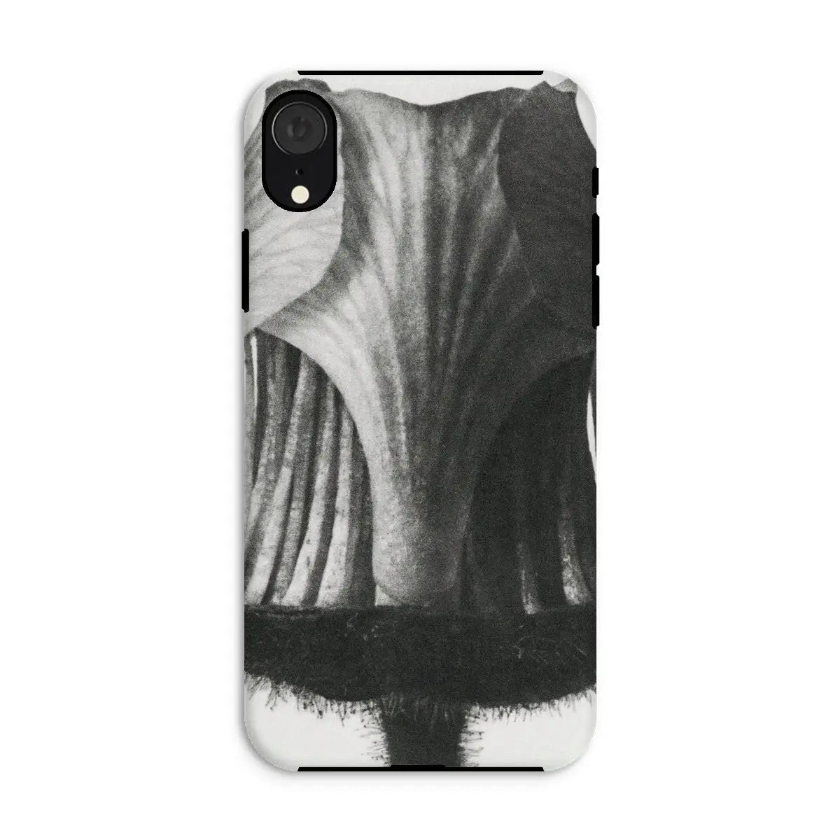 Geum Rivale (nodding Avens Flower–bud) - Karl Blossfeldt Iphone Case Xr / Matte Mobile Phone Cases