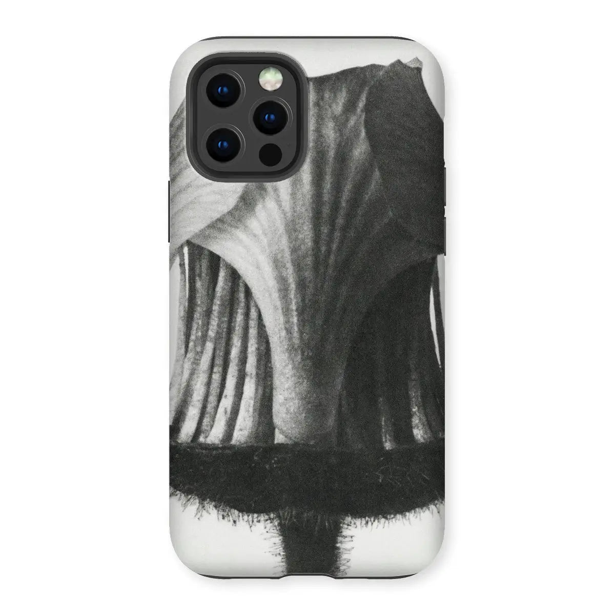 Geum Rivale (nodding Avens Flower–bud) - Karl Blossfeldt Iphone Case 12 Pro / Matte Mobile Phone Cases