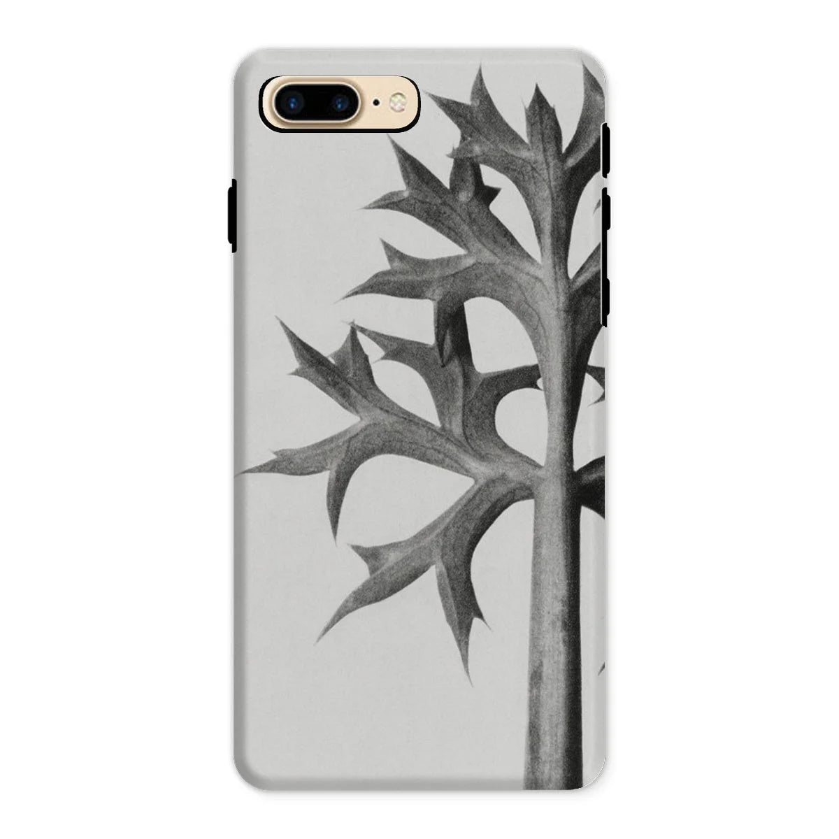 Eryngium Bourgatii (mediterranean Sea Holly) - Karl Blossfeldt Iphone Case 8 Plus / Matte Mobile Phone Cases