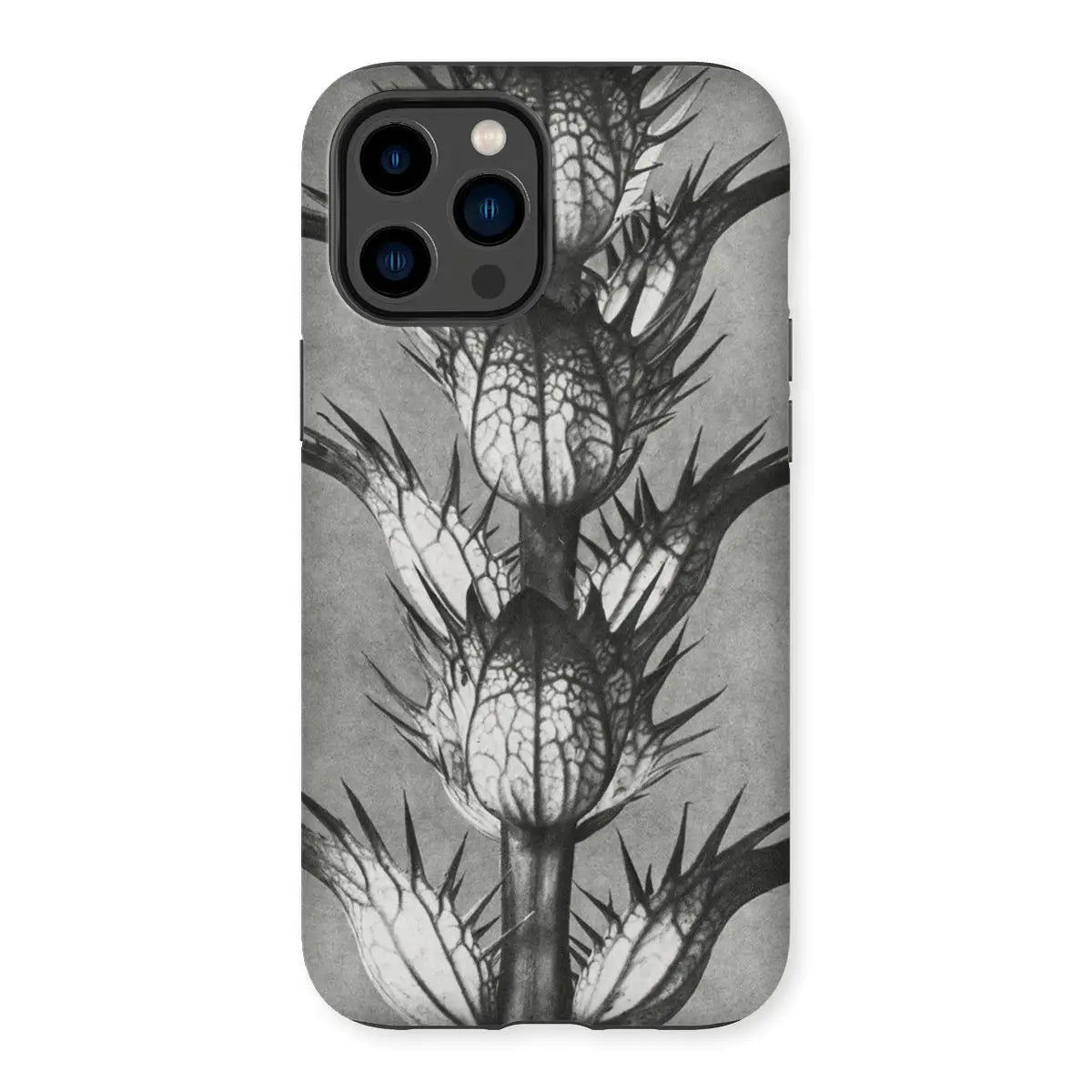 Acanthus Mollis (bear’s Breeches) - Karl Blossfeldt Tough Iphone Case 14 Pro Max / Matte Mobile Phone Cases