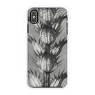 Acanthus Mollis (bear’s Breeches) - Karl Blossfeldt Iphone Case Xs Max / Matte Mobile Phone Cases