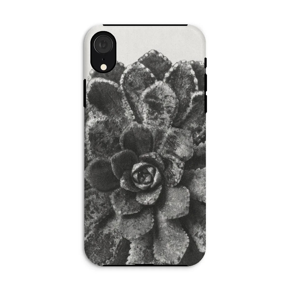 Pyramidal Saxifrage (saxifraga Aizoon) - Karl Blossfeldt Iphone Case Xr / Matte Mobile Phone Cases