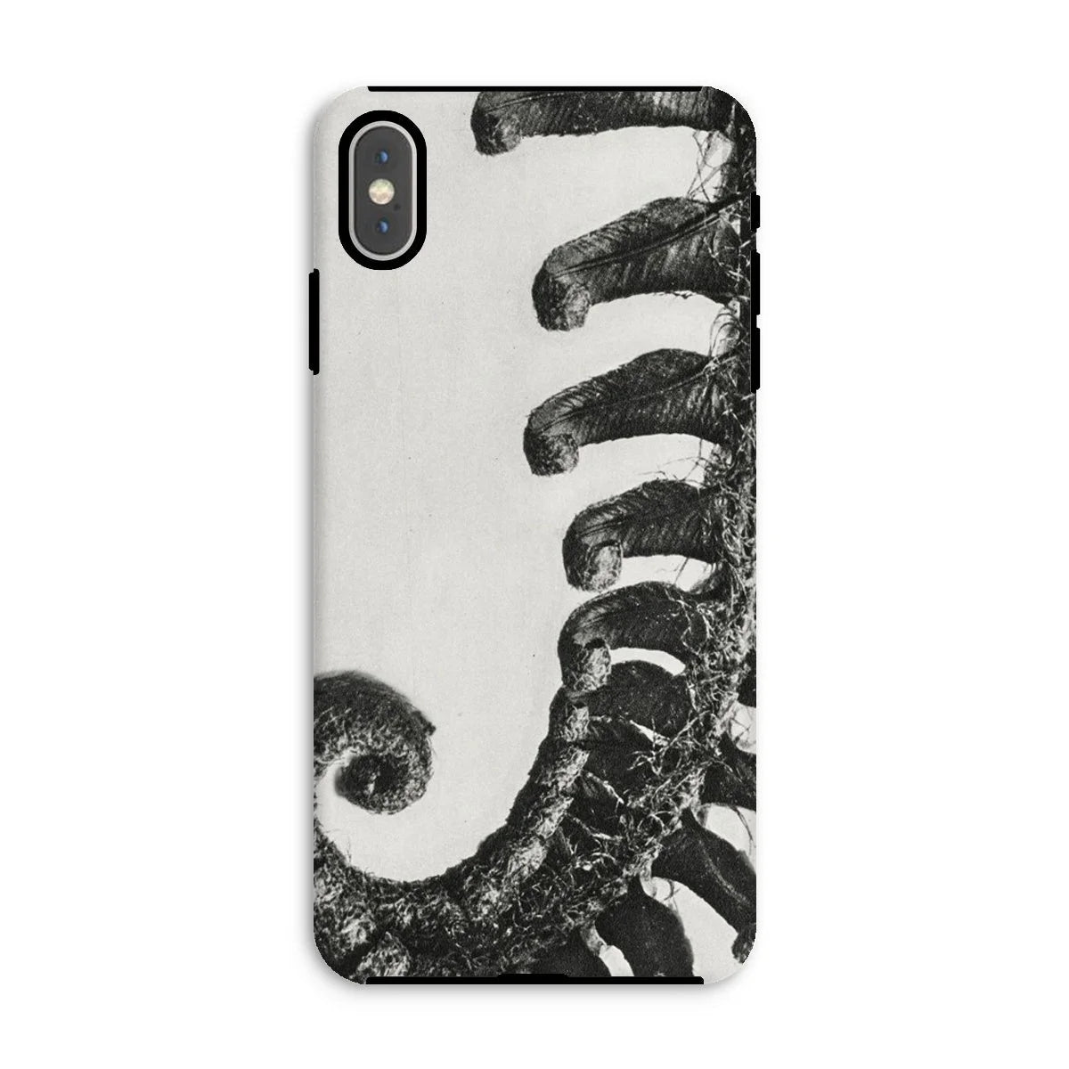 Polystichum Munitum (prickly Shield–fern) - Karl Blossfeldt Iphone Case Xs Max / Matte Mobile Phone Cases