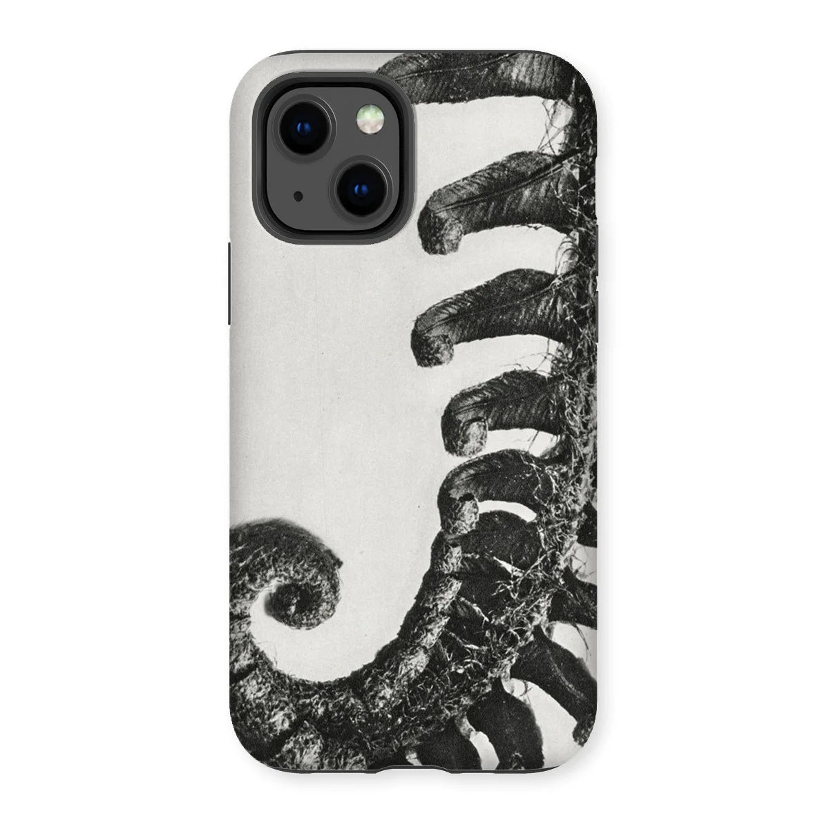 Polystichum Munitum (prickly Shield–fern) - Karl Blossfeldt Iphone Case 13 / Matte Mobile Phone Cases