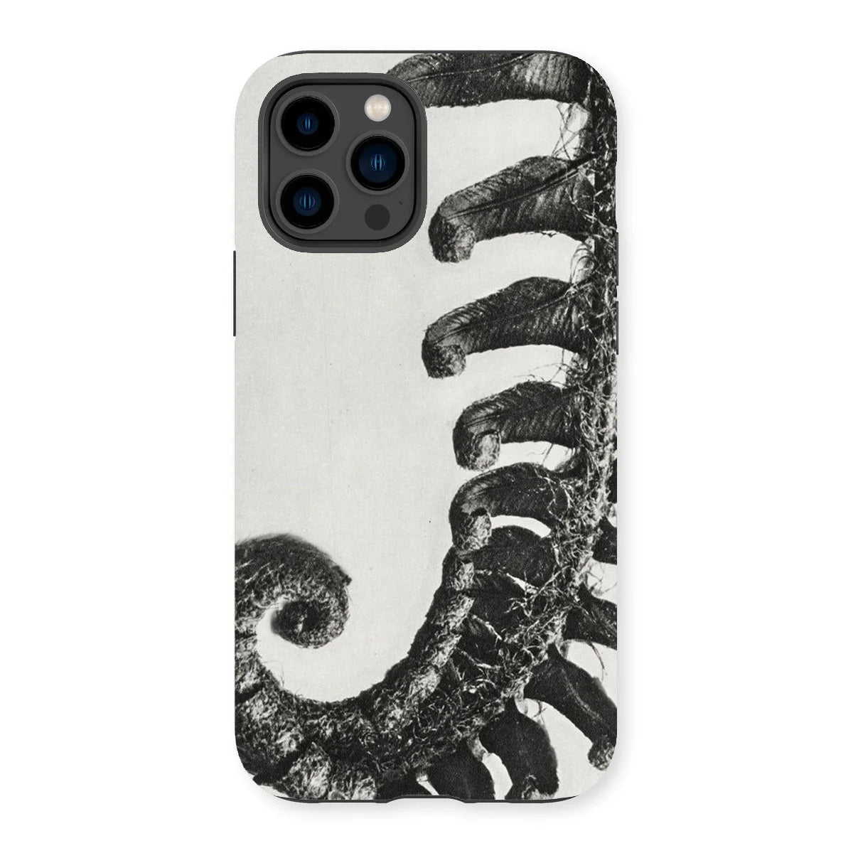 Polystichum Munitum (prickly Shield–fern) - Karl Blossfeldt Iphone Case 14 Pro / Matte Mobile Phone Cases