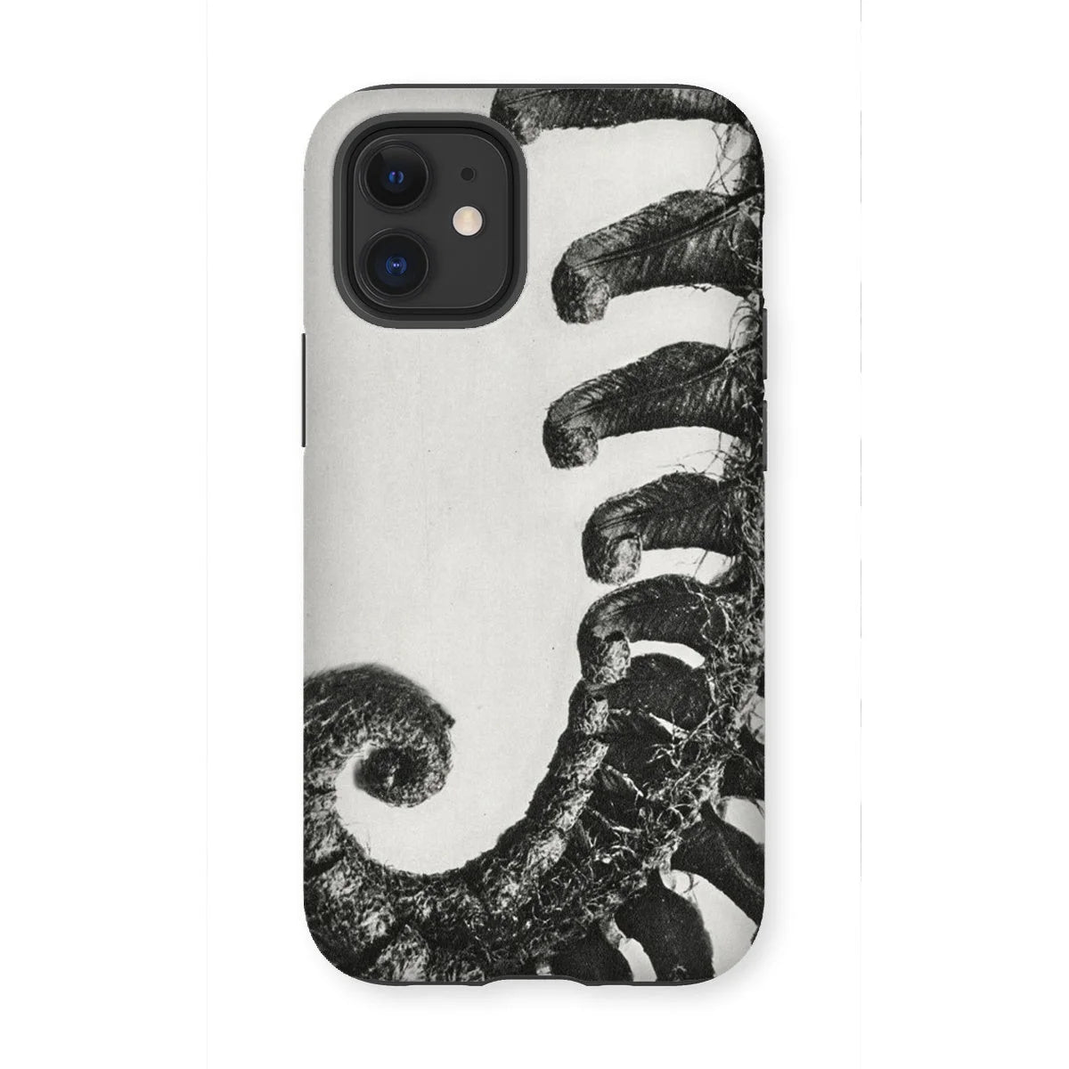 Polystichum Munitum (prickly Shield–fern) - Karl Blossfeldt Iphone Case 12 Mini / Matte Mobile Phone Cases