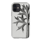 Eryngium Bourgatii (mediterranean Sea Holly) - Karl Blossfeldt Iphone Case 12 / Matte Mobile Phone Cases