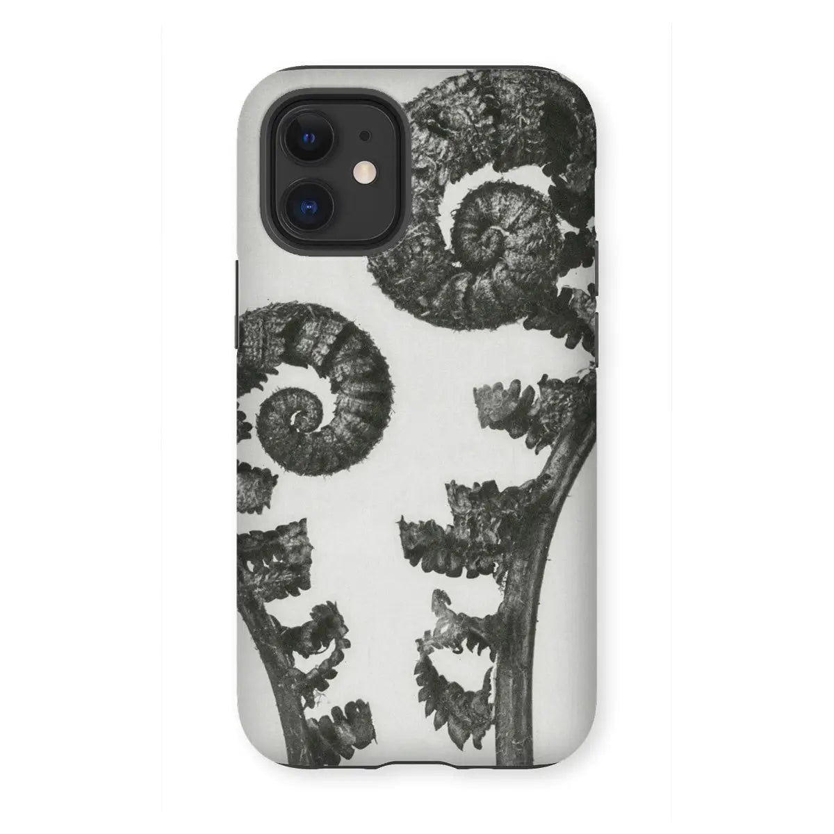 Aspidium Filix Mas (shield Fern Fronds) - Karl Blossfeldt Iphone Case 12 Mini / Matte Mobile Phone Cases