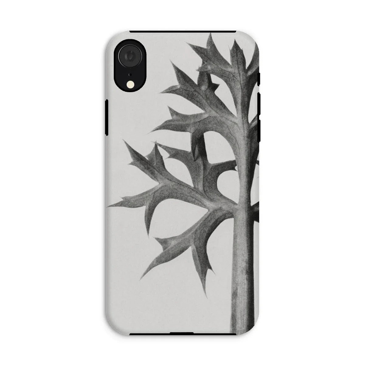 Eryngium Bourgatii (mediterranean Sea Holly) - Karl Blossfeldt Iphone Case Xr / Matte Mobile Phone Cases