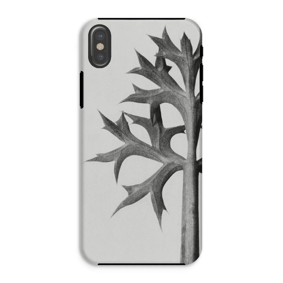 Eryngium Bourgatii (mediterranean Sea Holly) - Karl Blossfeldt Iphone Case Xs / Matte Mobile Phone Cases