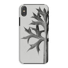 Eryngium Bourgatii (mediterranean Sea Holly) - Karl Blossfeldt Iphone Case Xs / Matte Mobile Phone Cases