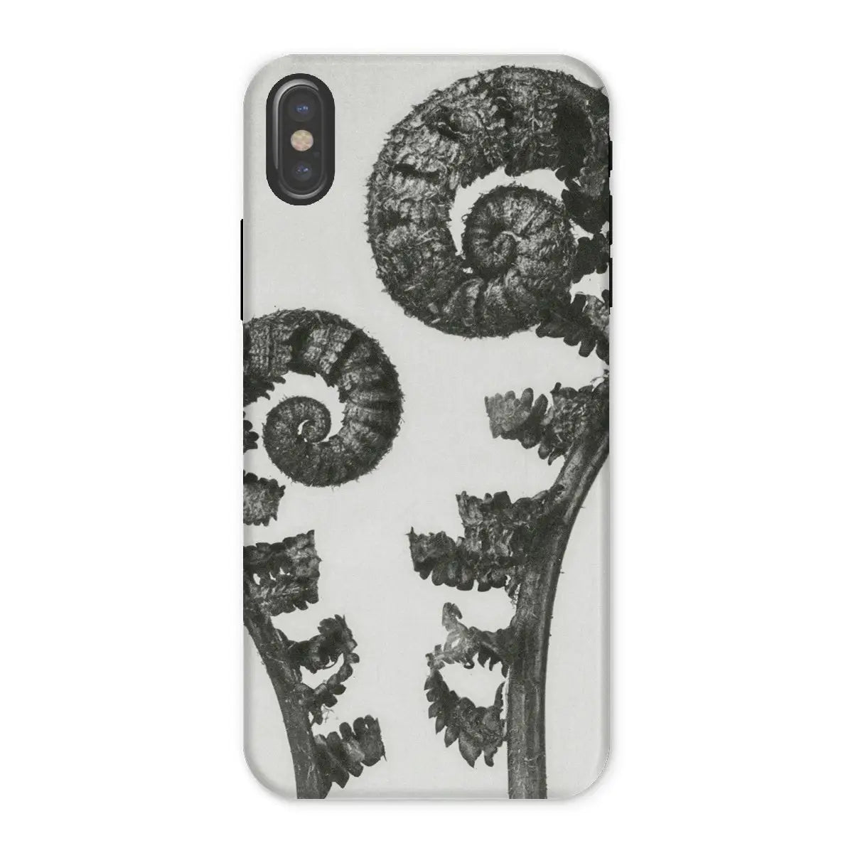 Aspidium Filix Mas (shield Fern Fronds) - Karl Blossfeldt Iphone Case x / Matte Mobile Phone Cases