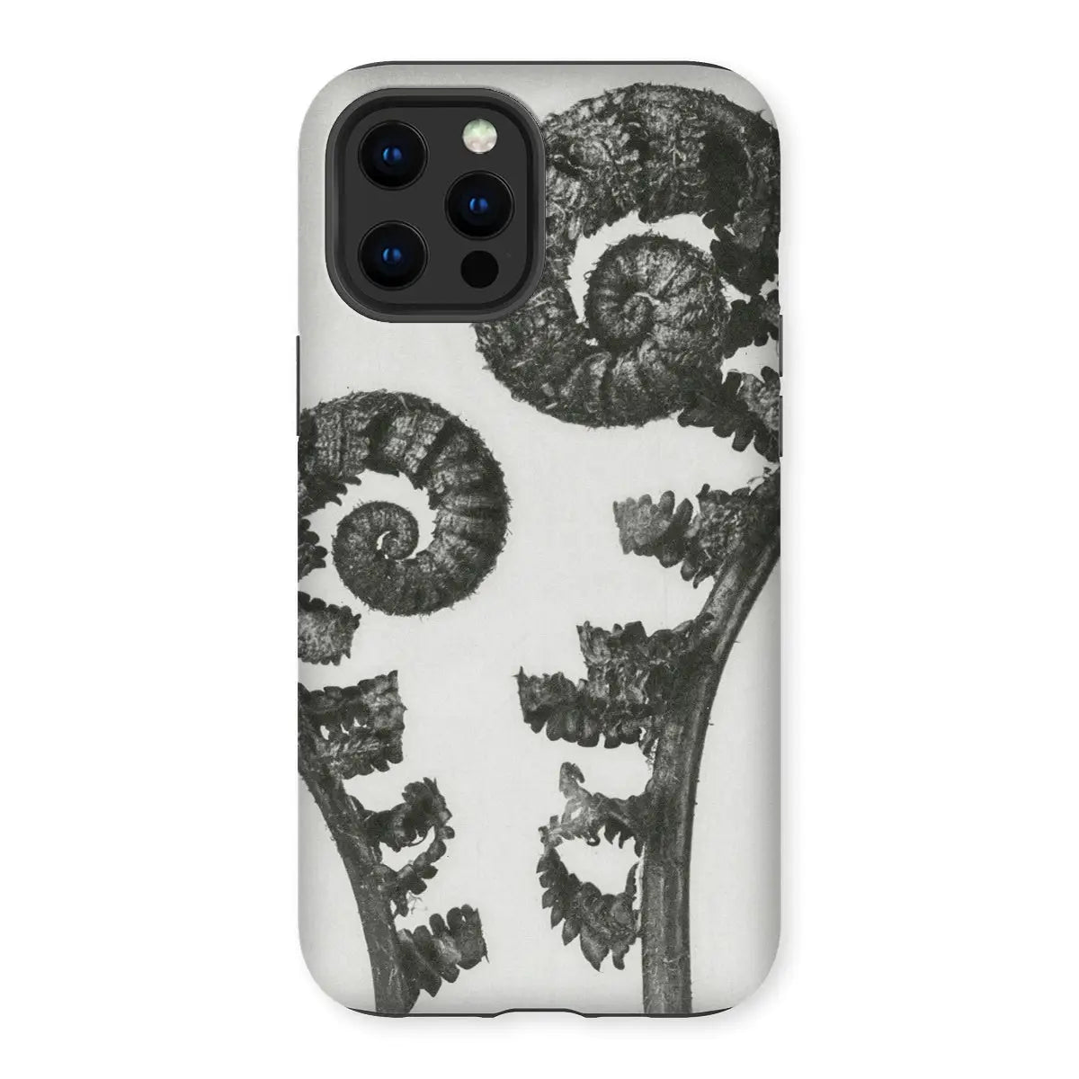 Aspidium Filix Mas (shield Fern Fronds) - Karl Blossfeldt Iphone Case 13 Pro Max / Matte Mobile Phone Cases