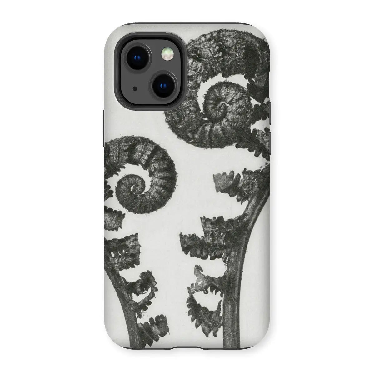 Aspidium Filix Mas (shield Fern Fronds) - Karl Blossfeldt Iphone Case 13 / Matte Mobile Phone Cases