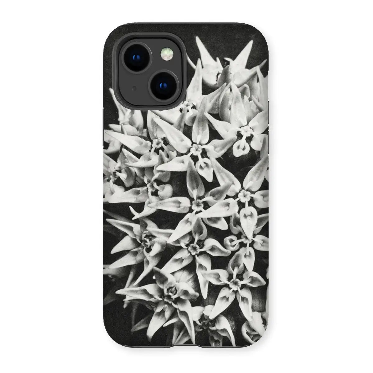 Asclepias Speciosa - Karl Blossfeldt Photo Art Iphone Case 14 / Matte Mobile Phone Cases