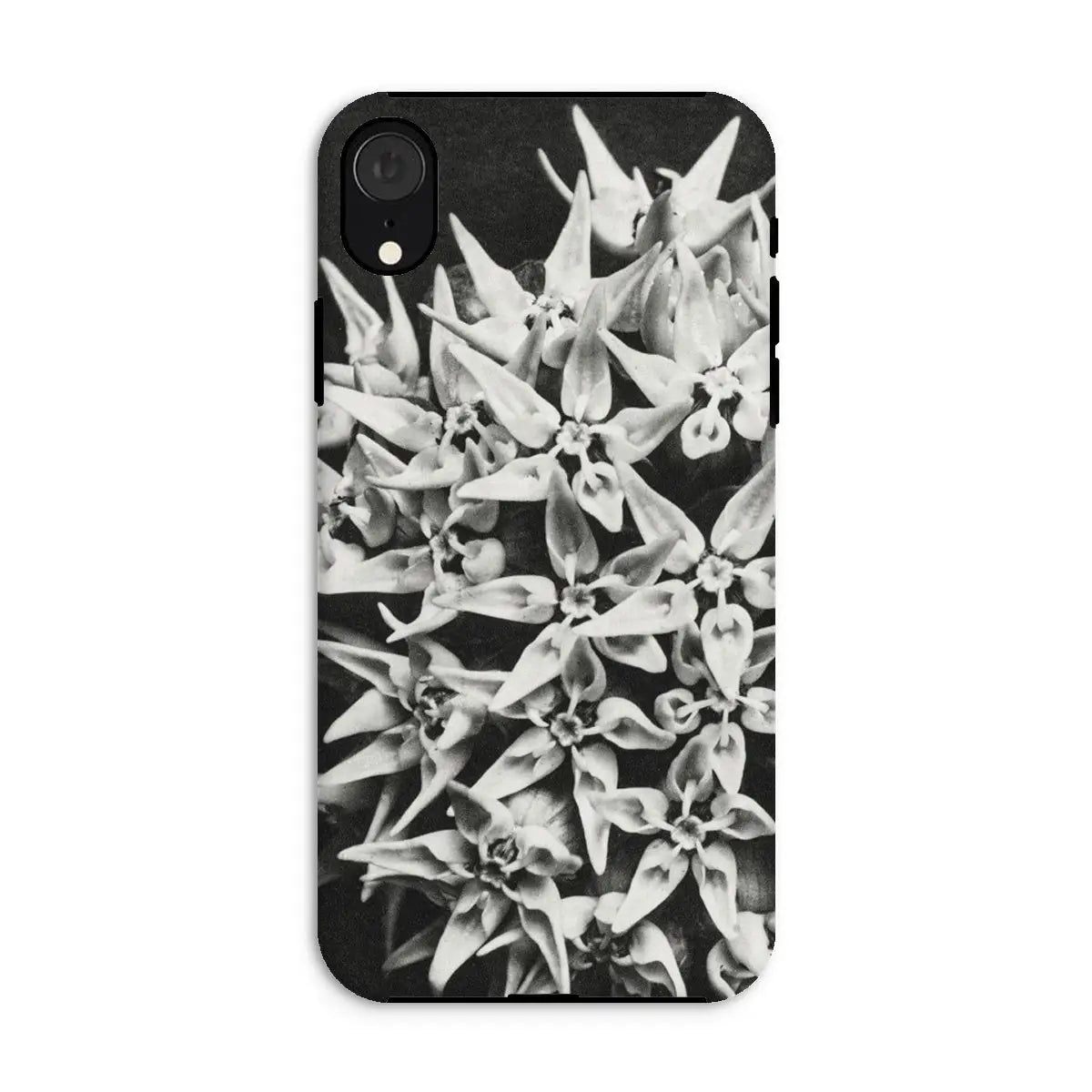 Asclepias Speciosa - Karl Blossfeldt Photo Art Iphone Case Xr / Matte Mobile Phone Cases