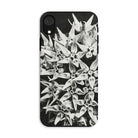 Asclepias Speciosa - Karl Blossfeldt Photo Art Iphone Case Xr / Matte Mobile Phone Cases