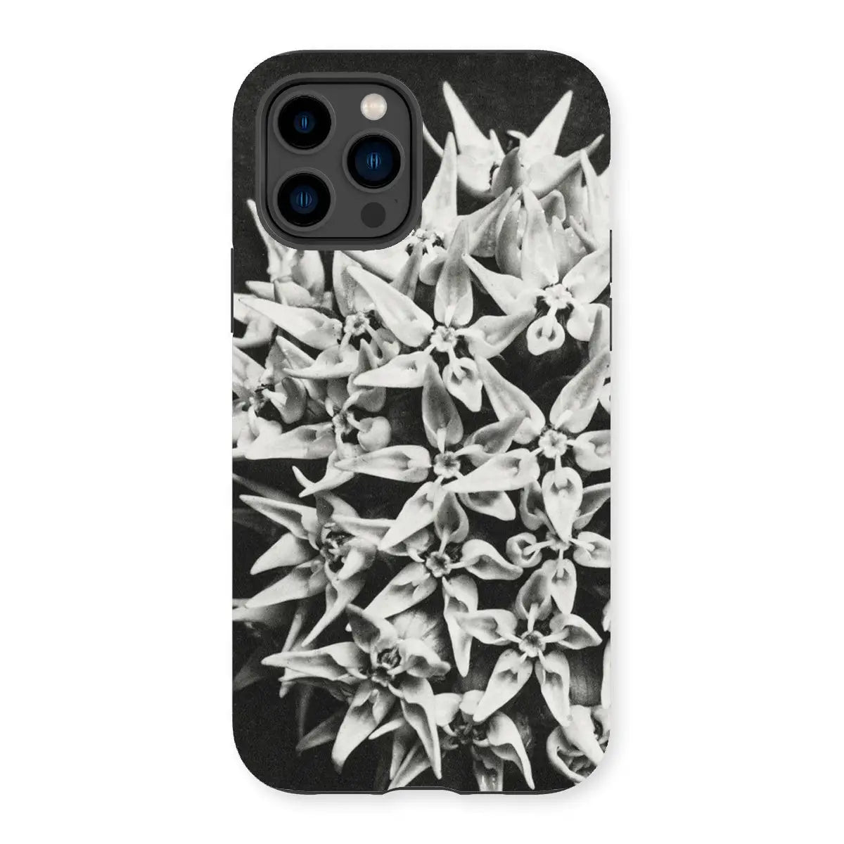 Asclepias Speciosa - Karl Blossfeldt Photo Art Iphone Case 14 Pro / Matte Mobile Phone Cases