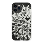 Asclepias Speciosa - Karl Blossfeldt Photo Art Iphone Case 14 Pro / Matte Mobile Phone Cases