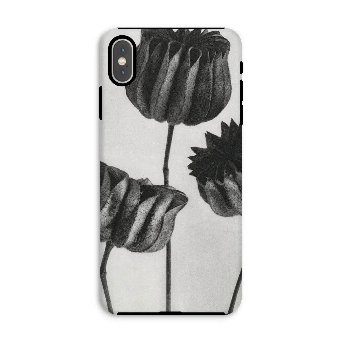 Abutilon (lime Mallow) Pod - Karl Blossfeldt Art Iphone Case Xs Max / Matte Mobile Phone Cases