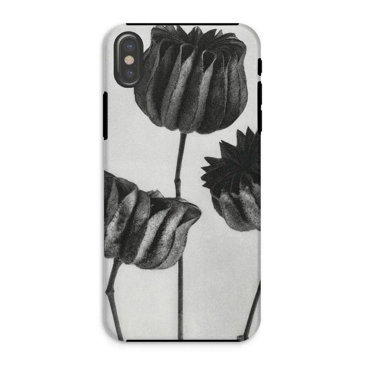 Abutilon (lime Mallow) Pod - Karl Blossfeldt Art Iphone Case Mobile Phone Cases