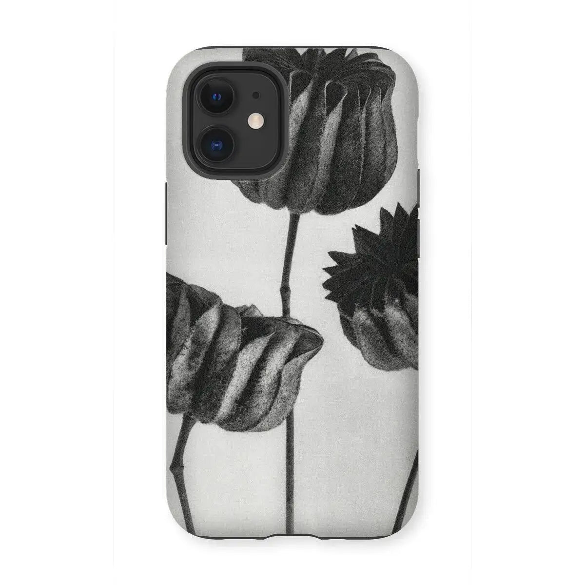 Abutilon (lime Mallow) Pod - Karl Blossfeldt Art Iphone Case 12 Mini / Matte Mobile Phone Cases