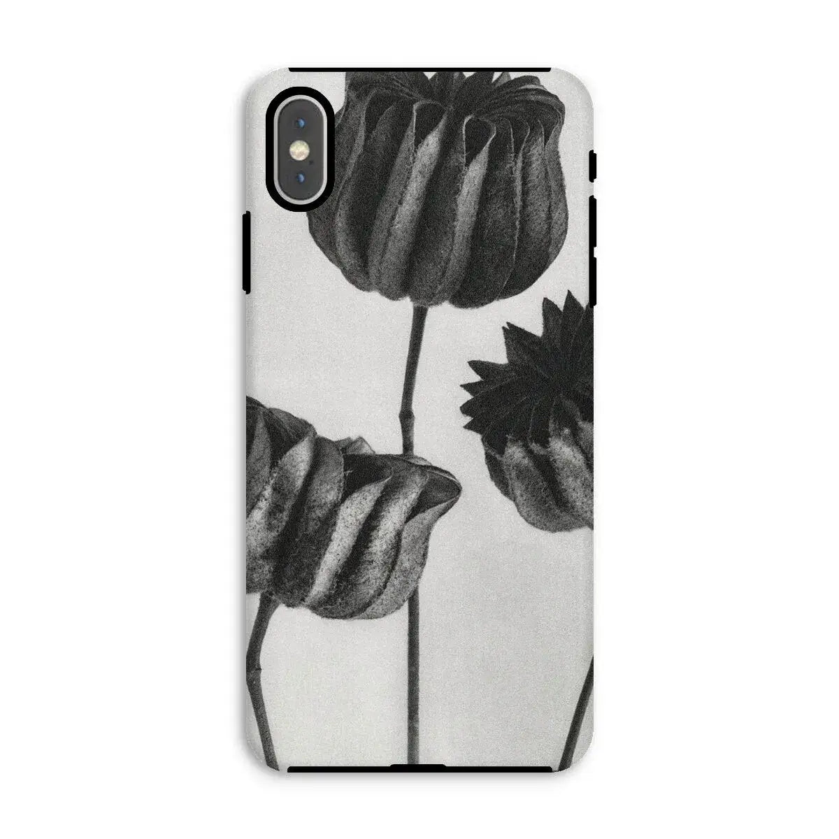 Abutilon (lime Mallow) Pod - Karl Blossfeldt Art Iphone Case Mobile Phone Cases