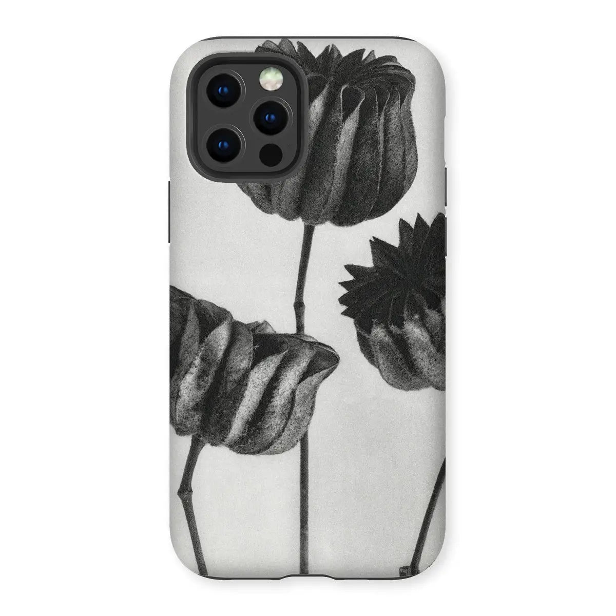 Abutilon (lime Mallow) Pod - Karl Blossfeldt Art Iphone Case 12 Pro / Matte Mobile Phone Cases