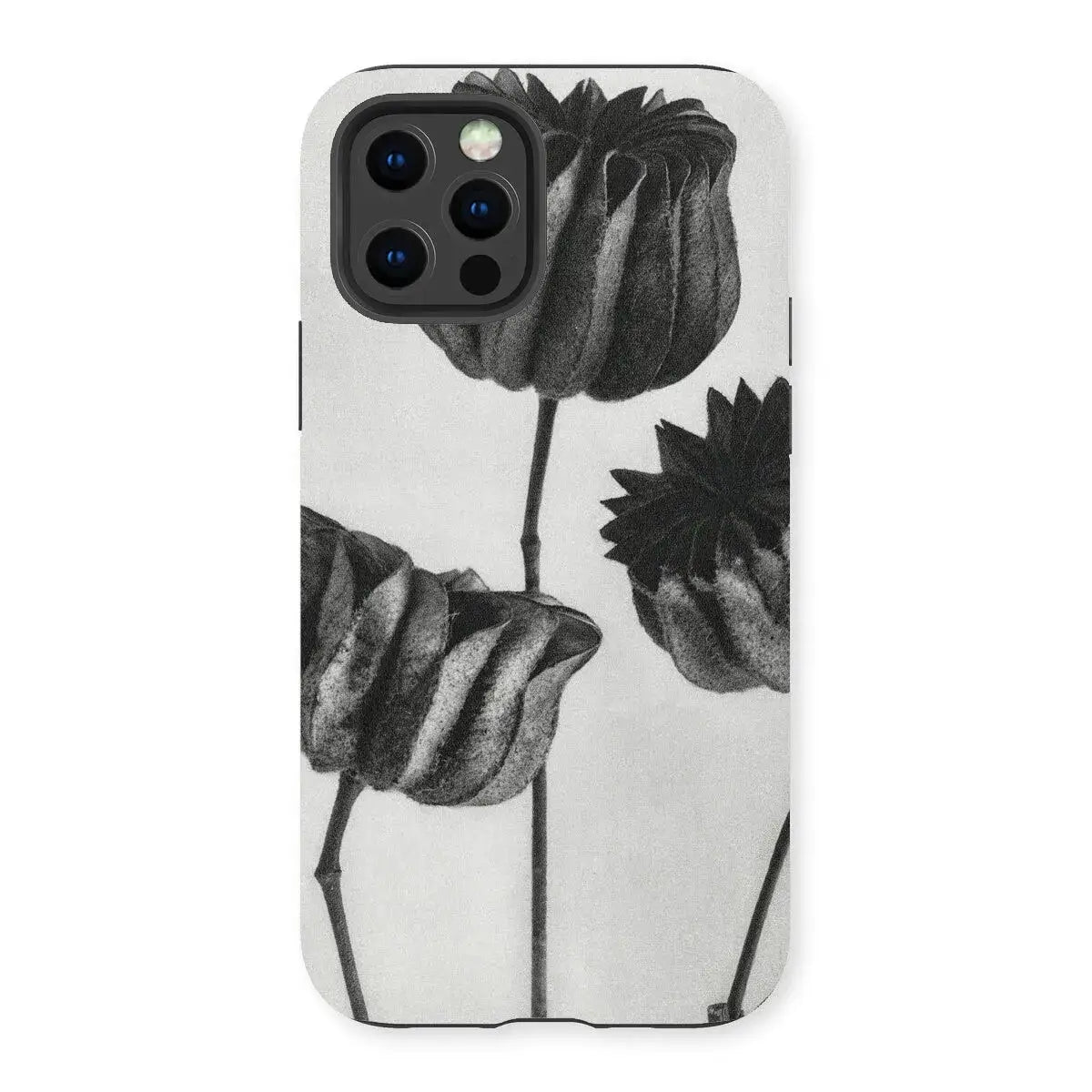 Abutilon (lime Mallow) Pod - Karl Blossfeldt Art Iphone Case 13 Pro / Matte Mobile Phone Cases