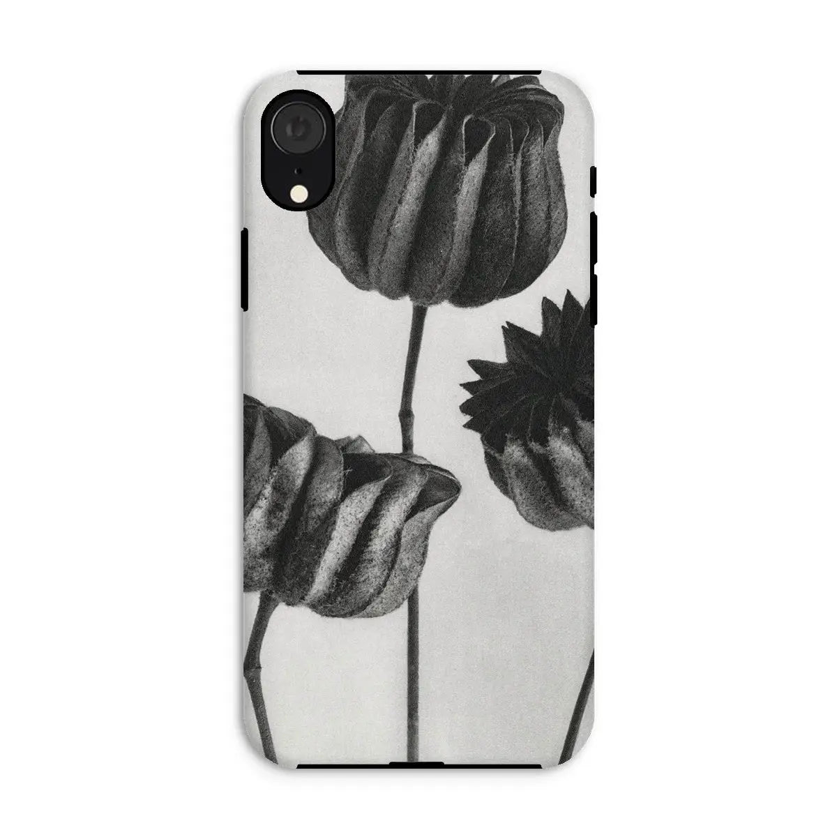 Abutilon (lime Mallow) Pod - Karl Blossfeldt Art Iphone Case Xr / Matte Mobile Phone Cases