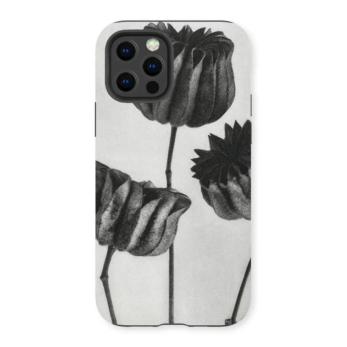 Abutilon (lime Mallow) Pod - Karl Blossfeldt Iphone Case Mobile Phone Cases