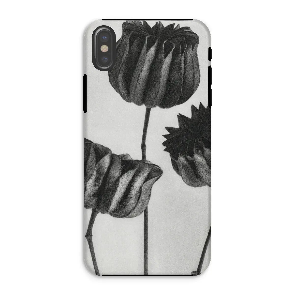 Abutilon (lime Mallow) Pod - Karl Blossfeldt Art Iphone Case Xs / Matte Mobile Phone Cases