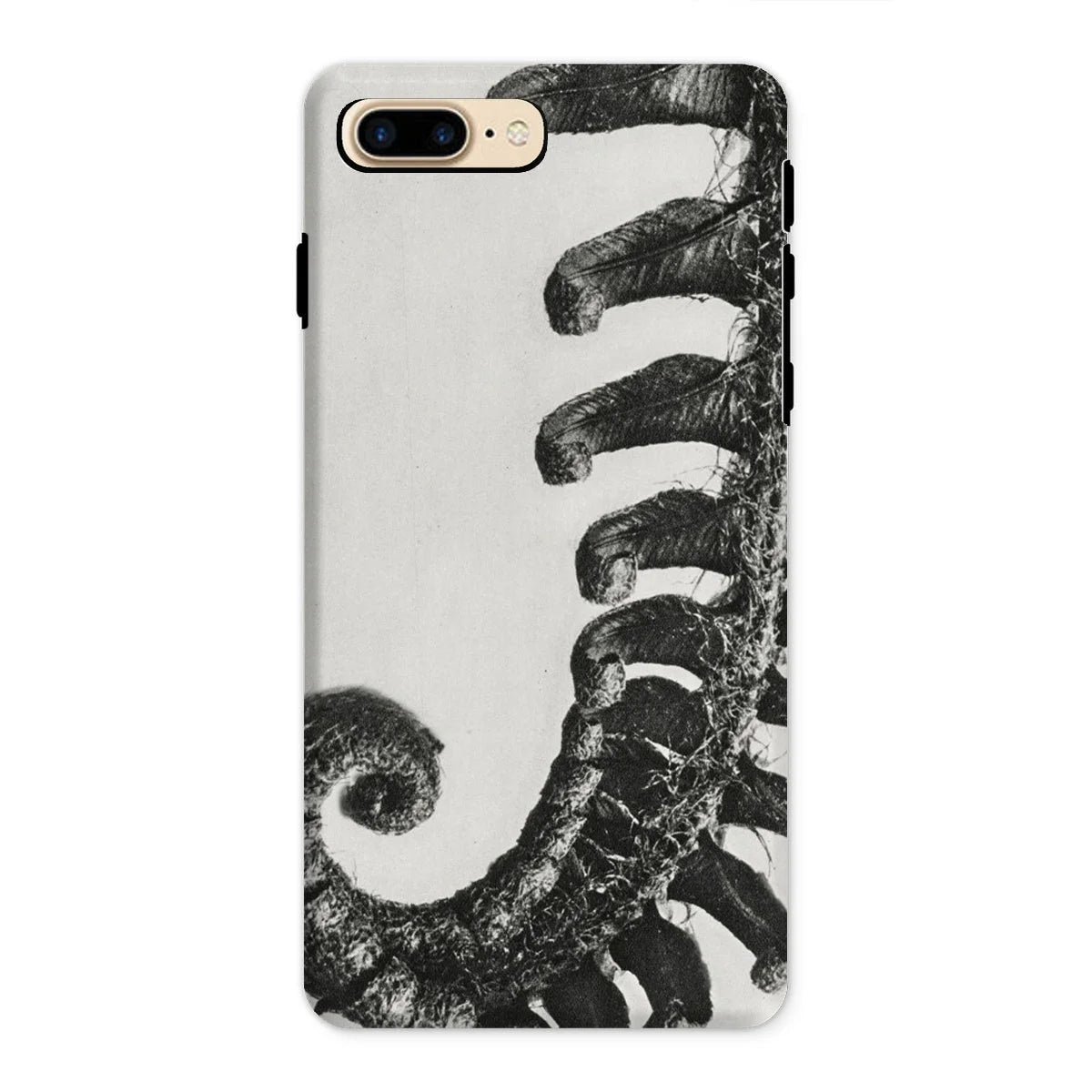 Polystichum Munitum (prickly Shield–fern) - Karl Blossfeldt Iphone Case 8 Plus / Matte Mobile Phone Cases