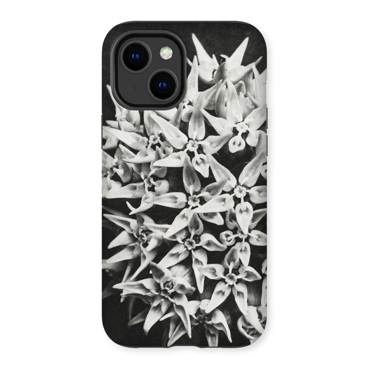 Asclepias Speciosa - Karl Blossfeldt Photo Art Iphone Case 14 Plus / Matte Mobile Phone Cases