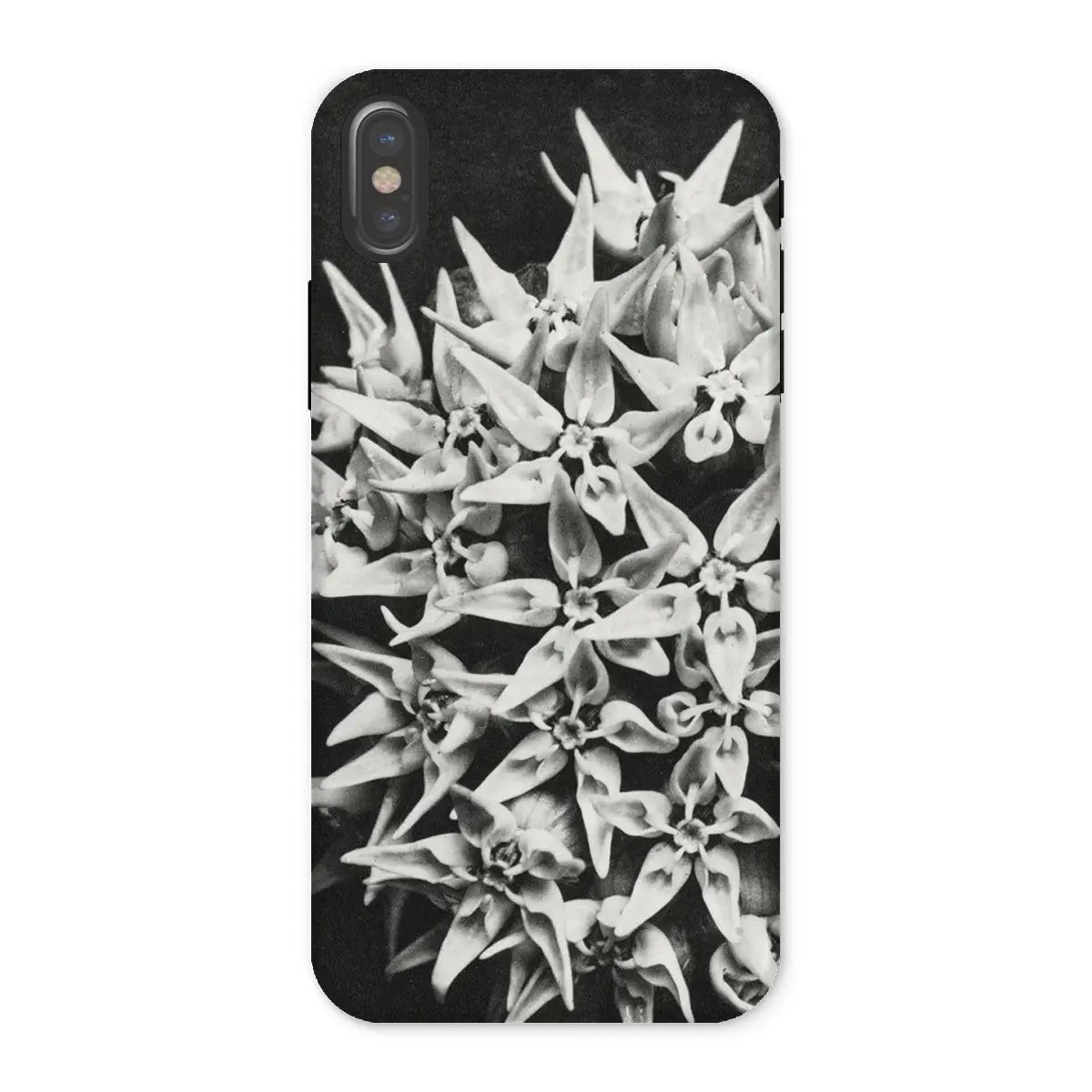 Asclepias Speciosa - Karl Blossfeldt Photo Art Iphone Case x / Matte Mobile Phone Cases