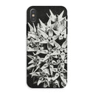 Asclepias Speciosa - Karl Blossfeldt Photo Art Iphone Case Xs / Matte Mobile Phone Cases