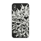 Asclepias Speciosa - Karl Blossfeldt Photo Art Iphone Case Xs Max / Matte Mobile Phone Cases