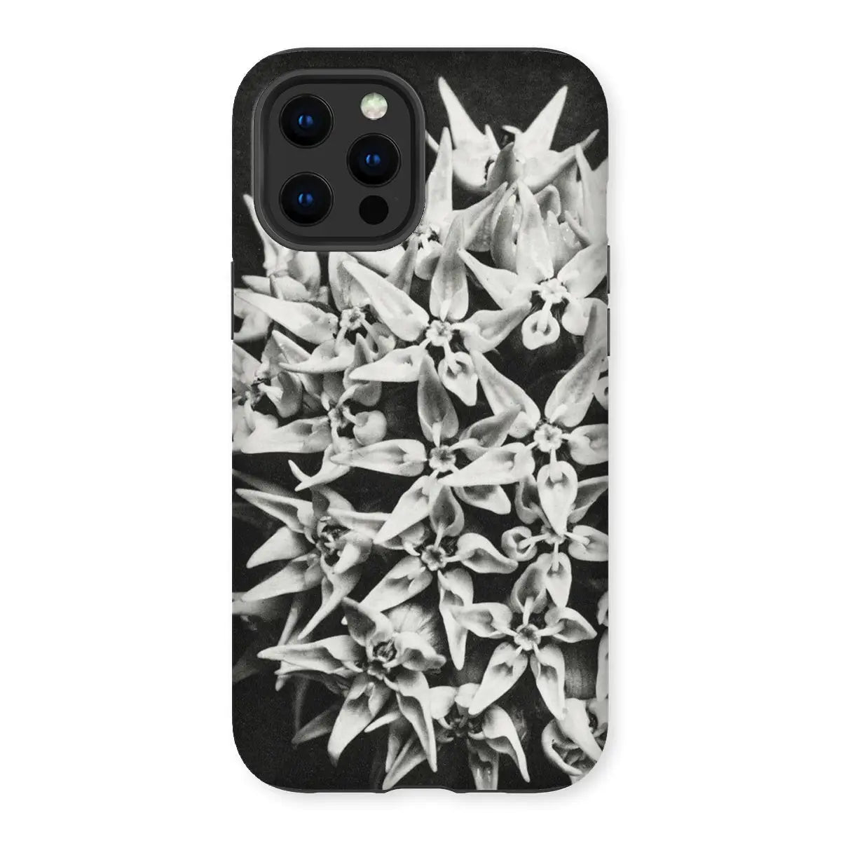 Asclepias Speciosa - Karl Blossfeldt Photo Art Iphone Case 12 Pro Max / Matte Mobile Phone Cases