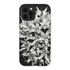 Asclepias Speciosa - Karl Blossfeldt Photo Art Iphone Case 13 Pro Max / Matte Mobile Phone Cases