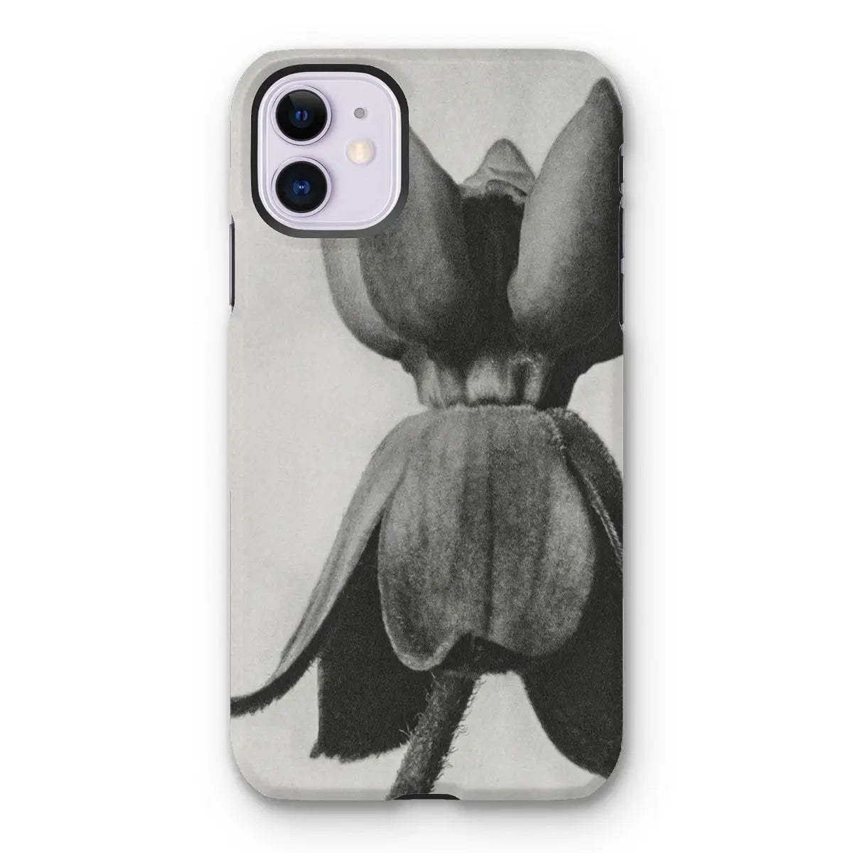 Asclepias Syriaca (common Milkweed) - Karl Blossfeldt Iphone Case 11 / Matte Mobile Phone Cases