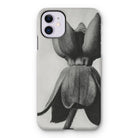 Asclepias Syriaca (common Milkweed) by Karl Blossfeldt Iphone Case 11 / Matte Mobile Phone Cases