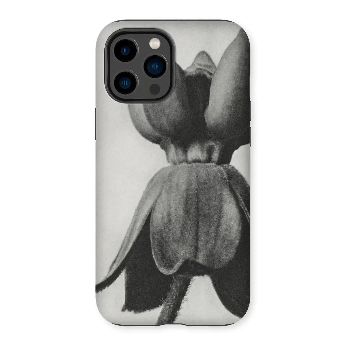 Asclepias Syriaca (common Milkweed) - Karl Blossfeldt Iphone Case 14 Pro Max / Matte Mobile Phone Cases