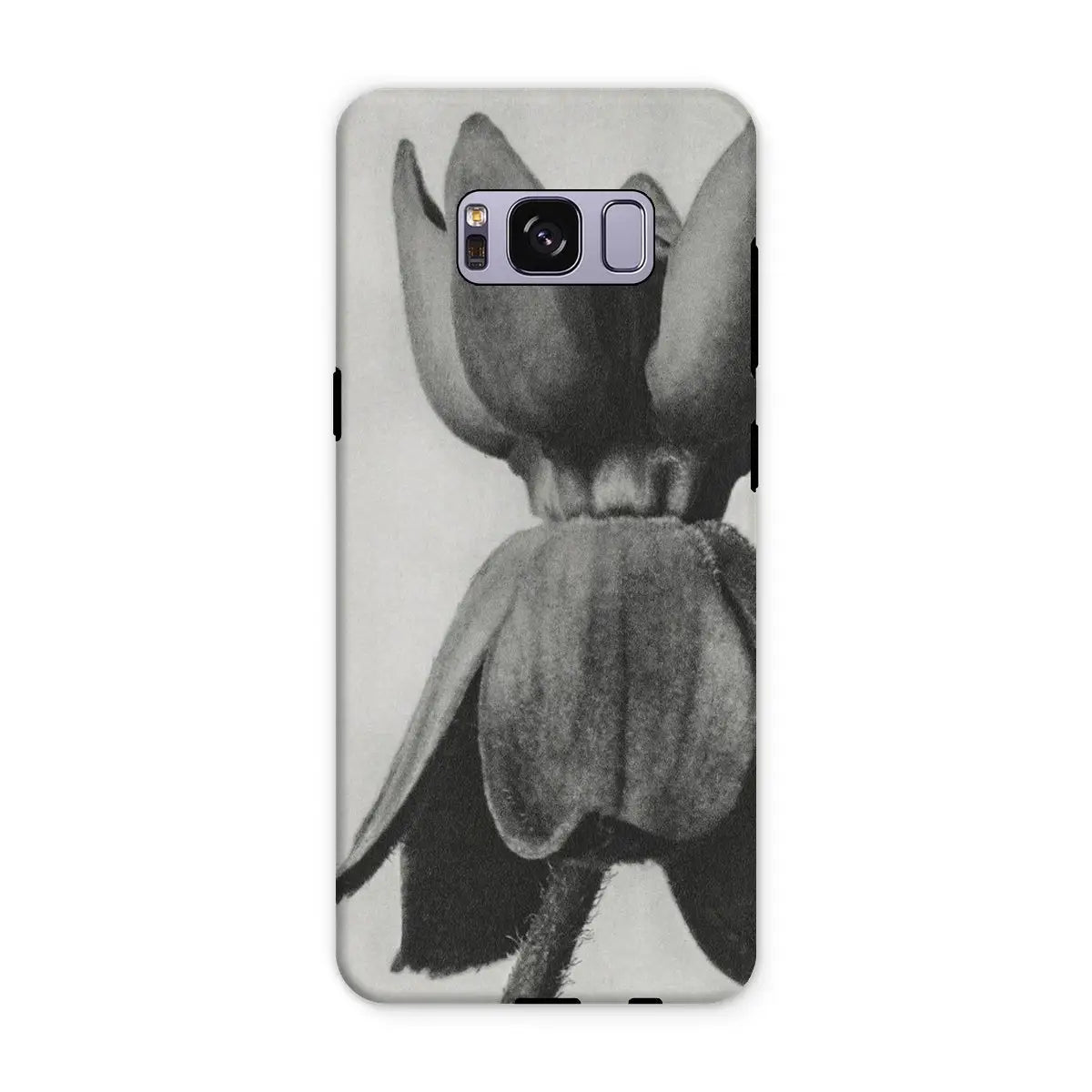 Asclepias Syriaca (common Milkweed) - Karl Blossfeldt Iphone Case Mobile Phone Cases