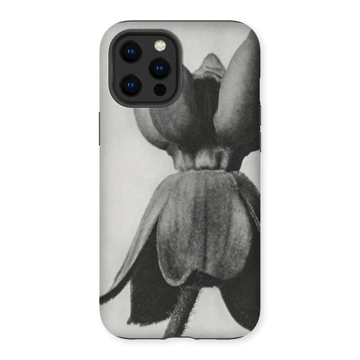 Asclepias Syriaca (common Milkweed) - Karl Blossfeldt Iphone Case 12 Pro Max / Matte Mobile Phone Cases